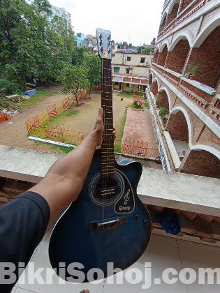 Gypshon guitar